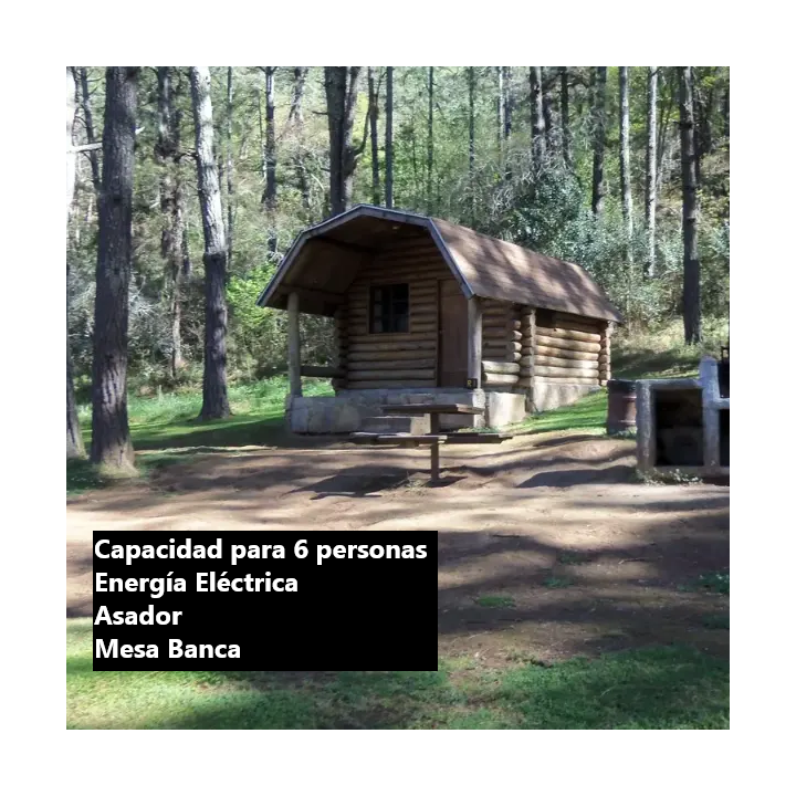 Alojamiento (opcional)